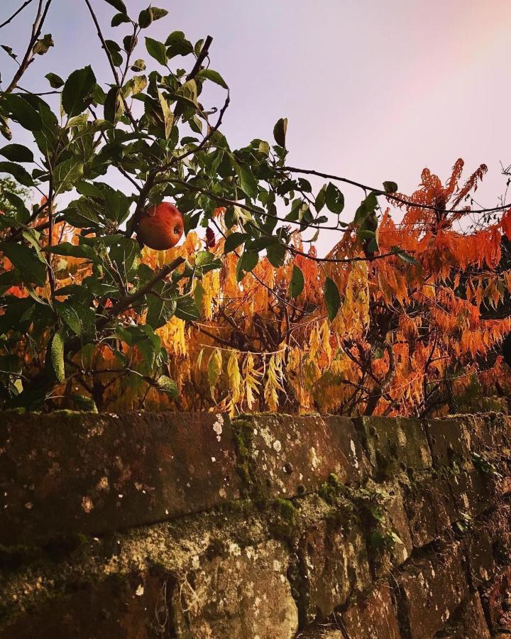 Melford Allotment Shed-Vintage Lodge Suffolk ลองเมลฟอร์ด ภายนอก รูปภาพ